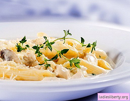 Kycklingpasta i en krämig sås - de bästa recepten. Så ordentligt och välsmakande laga pasta med kyckling i en krämig sås.