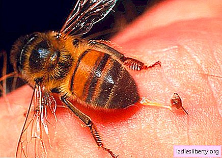 Bees are able to diagnose certain types of cancer.