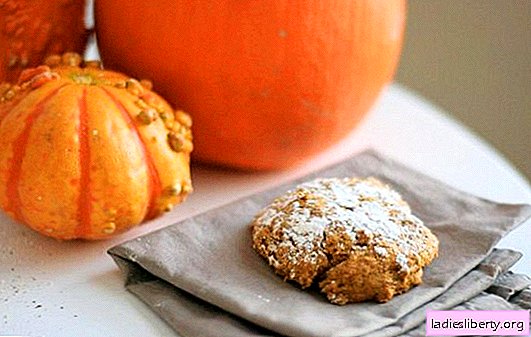 Pumpkin cookies are your favorite! Recipes of sunny pumpkin cookies with raisins, cereal, nuts, cottage cheese