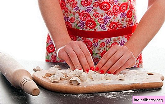 Dumplings did not work: the main mistakes of beginners and the tips of "experienced"