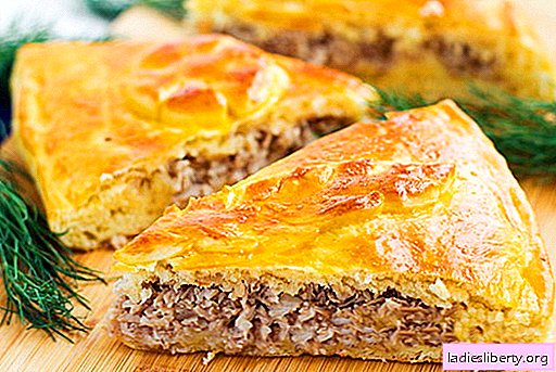 Pie and pies with meat - the best recipes. How to cook meat pies correctly and tasty.
