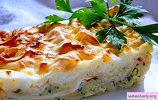 Pita pie with cheese - tender homemade cakes. Several ways to make cheese lavash pie