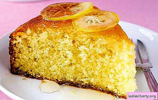 Batir pastel de kéfir - disponible! Las mejores recetas para pasteles de kéfir a toda prisa: con mermelada, manzanas, pescado, etc.