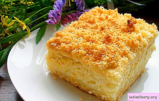 La tarte au fromage blanc et aux pommes est une gâterie saine. Recettes de tartes au fromage blanc et aux pommes: remplissez le régime de vitamines