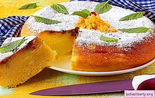 Pastel con requesón en una olla de cocción lenta - pasteles de una cacerola milagrosa. Recetas para pasteles con requesón en una olla de cocción lenta de diferentes masas