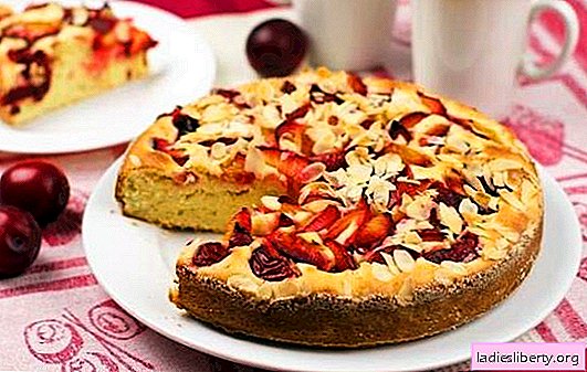 Torte mit Äpfeln und Pflaumen - ein Fruchtwunder! Rezepte für hausgemachte Kuchen mit Äpfeln und Pflaumen aus verschiedenen Teigsorten