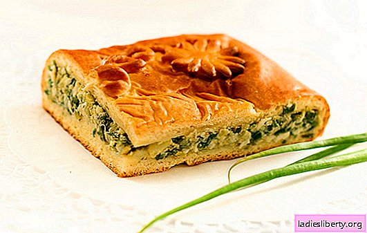 Pie with green onions on yogurt - delicious homemade cakes. Recipes pies with green onions on kefir in the oven and slow cooker