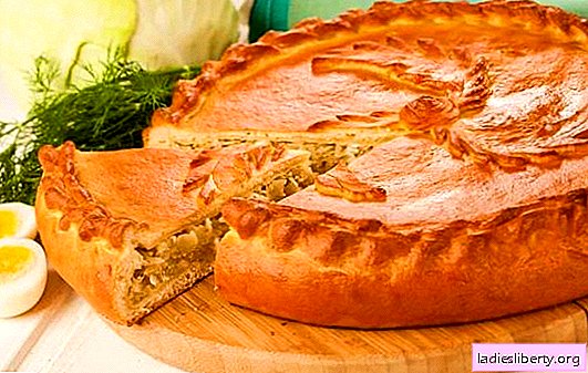 Oven pies with cabbage - step by step recipes for delicious pastries. Oven recipes for bulk and yeast pies with cabbage