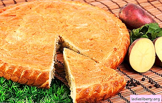 Kefírové koláče s bramborami - analog Osetie! Maso, ryby nebo zelenina - v receptech na koláče s bramborami na kefíru