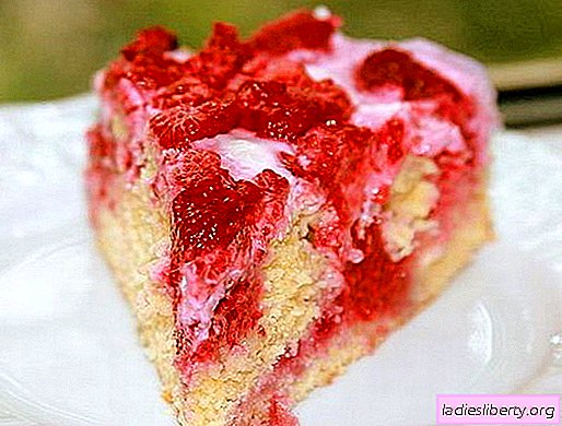 Raspberry pies are the best recipes. How to cook raspberry pie correctly and tasty.
