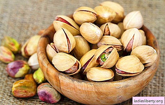 "Elämäpuun" - pistaasipähkinän hedelmät: hyödyllisiä vai haitallisia? Luotettavaa tietoa pistaasipähkinöiden eduista ja vaaroista lasten vartaloille