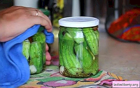 Waarom smaken de komkommers in de potten slecht?