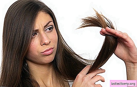 لماذا يتم تقسيم الشعر؟ تقسيم علاج الشعر على طول كامل وينتهي مع إجراءات صالون والعلاجات الشعبية