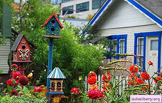 DIY amatniecība dārzam - tas ir jautri! Birdhouse - slavenākie DIY dārza amatnieki