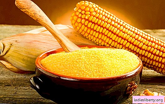 En détail sur les dangers et les avantages de la bouillie de maïs: nous étudions la composition et les propriétés. Bouillie de maïs: à qui, combien et sous quelle forme il convient de le manger