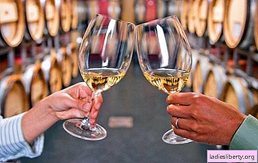 Wine tasting trip: what to expect for beginners