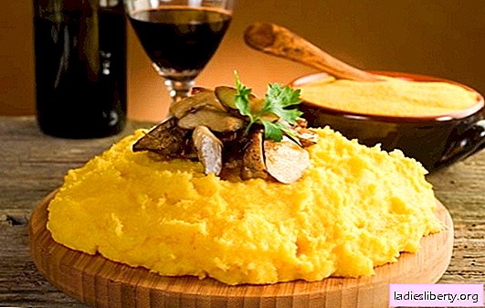 Polenta - corn treat! Recipes of real Italian polenta with cheese, tomatoes, mushrooms, chicken, various vegetables
