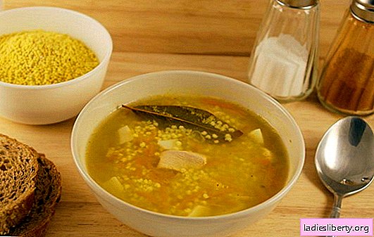 Field soup with millet: secrets of the Cossack cuisine. Recipes of millet soup with a historical “zest” of fish, meat, lean