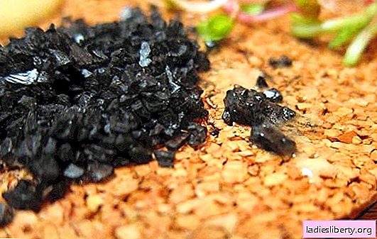 Sal preto útil - exótico eslavo-indiano. Qualidades prejudiciais e benéficas do sal preto, contra-indicações