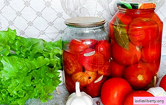 Sangat berguna untuk menggulung tomat untuk musim dingin tanpa cuka. Resep terbaik untuk membuat tomat buatan sendiri yang harum untuk musim dingin tanpa cuka