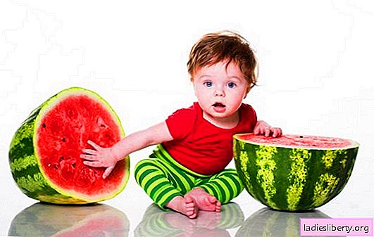 Propriedades úteis da melancia e a composição química de sua polpa e casca. Propriedades de melancia úteis para o corpo do bebê