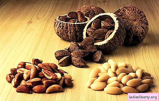 Ciri-ciri berguna, kandungan kalori kacang Brazil - anda akan belajar banyak! Apakah faedah dan kemudaratan kacang Brazil?