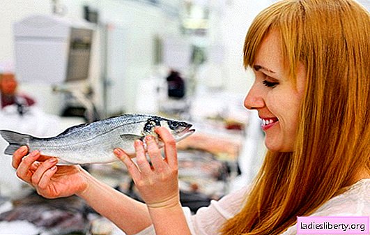 ¿Es útil para las madres lactantes comer pescado? Qué pez es más útil, cómo elegir un pez que se pueda dar a las mujeres lactantes