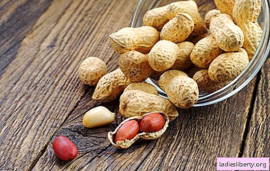 Les avantages des cacahuètes pour les femmes: qu'est-ce qui est bon dans les cacahuètes? Propriétés utiles et dommages possibles des arachides au corps de la femme