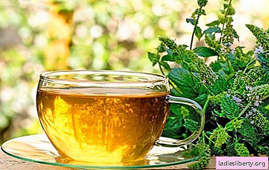 The benefits of tea with lemon balm for the human body. Possible harm to tea with lemon balm, brewing rules and drinking patterns