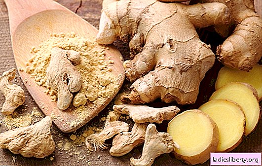 The benefits and harms of ginger for our body. Calorie ginger, useful properties, recipes, contraindications