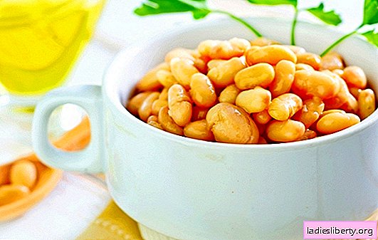 The benefits and harms of canned beans. What is the best way to eat canned beans: good nutrition recipes