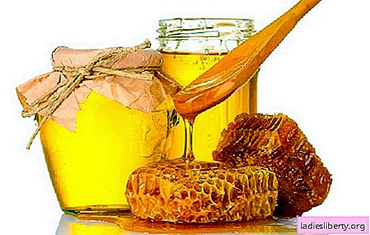 היתרונות והנזקים של הדבש - למי, מתי וכמה! תכולת הקלוריות של הדבש, תכונותיו המועילות, הזנים: הכל על דבש, היתרונות שלו ופגיעה אפשרית