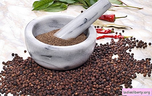The benefits and harms of ground pepper: how to use it correctly. What is ground pepper, what is good for the human body
