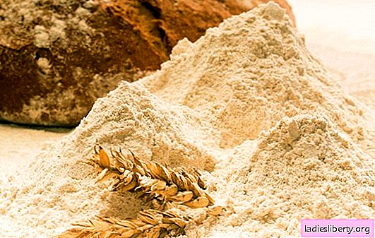 Los beneficios y daños de la harina de centeno: variedades, métodos de aplicación, características. Para quién y en qué productos es útil la harina de centeno