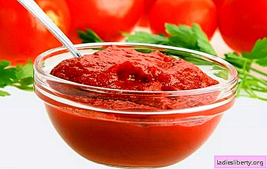 The benefits and harms of tomato paste: facts only. So why did the hostess like tomato paste and what is more: good or harm?