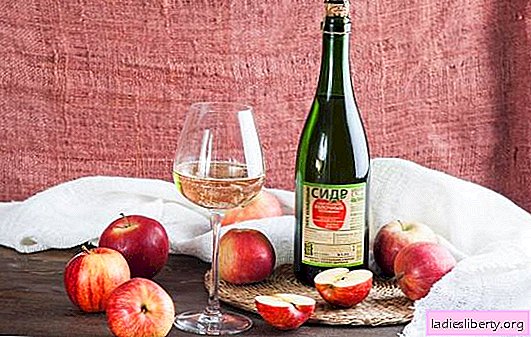 The benefits and harms of apple cider. Amazing facts about the composition, proper use, benefits and harms of apple cider