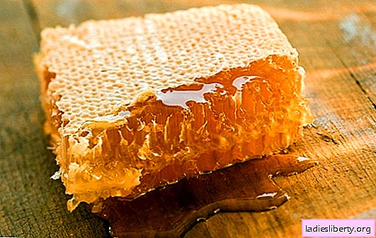 The benefits of honey in honeycombs: rules for use in food. Can using honey in combs harm the body?
