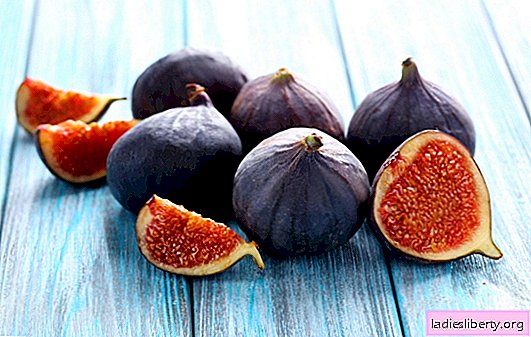 The benefits of fresh figs. What healing properties does this exotic fruit have?