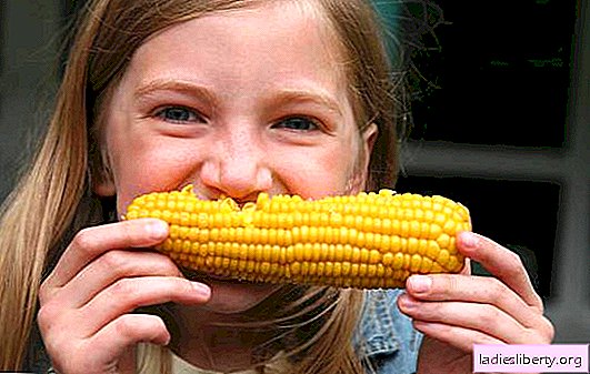 Manfaat jagung rebus: adakah mungkin menurunkan berat badan? Apakah komposisi produk dan jagung rebus boleh membahayakan badan