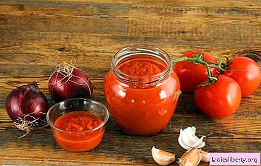 Cà chua nghiền cho mùa đông là cách tốt nhất để chế biến toàn bộ cây trồng. Các công thức tốt nhất cho cà chua thông qua máy xay thịt cho mùa đông