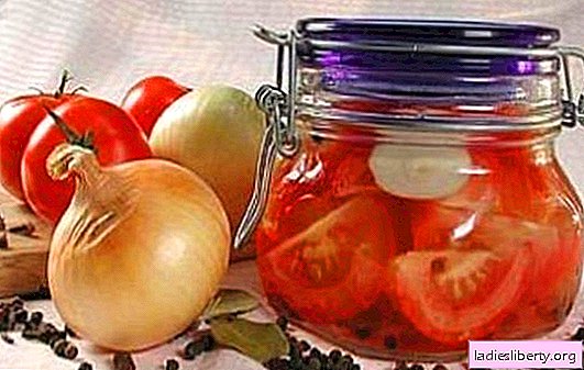 Sliced ​​tomatoes for the winter: recipes proven over the years. We harvest tomatoes with slices for the winter: delicious or hot