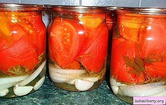 Tomato slices with garlic - a simple solution for a tasty preparation for future use. A variety of recipes for making tomato slices with garlic