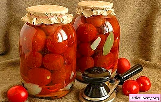 Tomatoes for the winter without garlic - we prepare vitamins for the future! Recipes of tomatoes for the winter without garlic, time-tested
