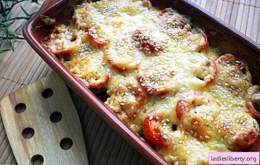 Tomatoes under cheese in the oven - juicy! Options of baked tomatoes in cheese in the oven with minced meat, mushrooms, ham and eggs