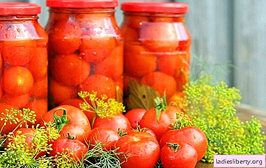 Tomatoes with aspirin: an alternative to conventional pickling. Traditional and original recipes for harvesting tomatoes with aspirin
