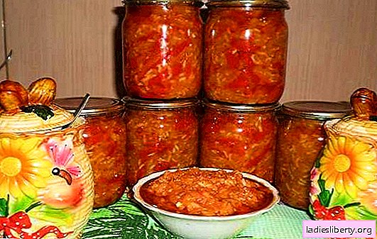 Riz tomates pour l'hiver - un billet populaire, sain et savoureux. Les meilleures recettes éprouvées pour les tomates avec du riz pour l'hiver