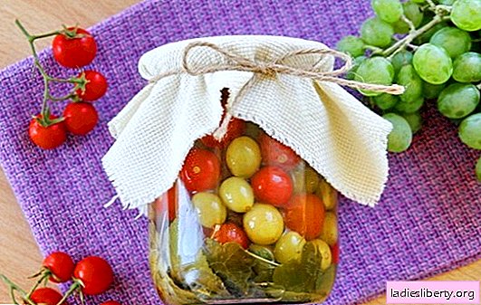 Tomates con uvas para el invierno: la receta original para un aperitivo salado. Como cocinar tomates con uvas para el invierno