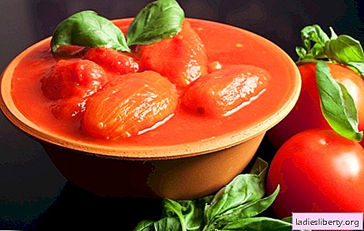 Tomates en su propio jugo para el invierno: ¡como se vierte y se vuelve incomparable! Recetas de tomate en jugo propio para el invierno.