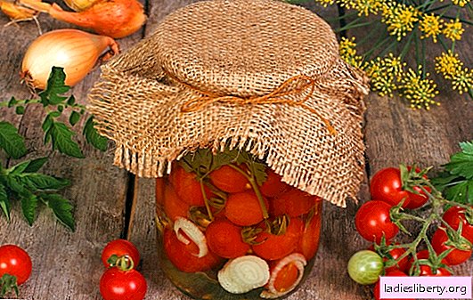 Tomaten in Gelatine für den Winter - köstliche Schönheit! Die einfachsten und leckersten Rezepte zum Kochen von Tomaten in Gelatine für den Winter