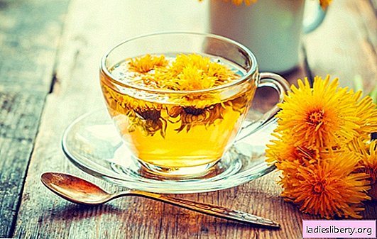 Will a decoction of dandelions help cleanse the liver, expel parasites, cure joints? A decoction of dandelions: recipes, application